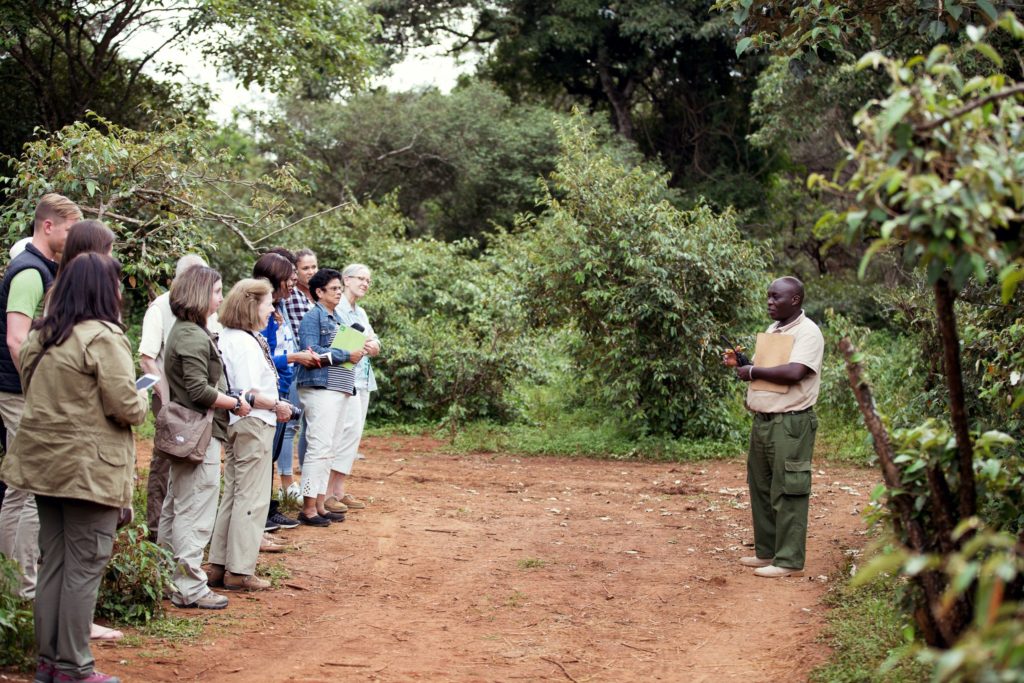 In the African jungle, a large tour group stands on red dirt listening to the tour guide speak about the local history and facts. Sky Bird Travel declares that walking tours are some of the best types of tours.