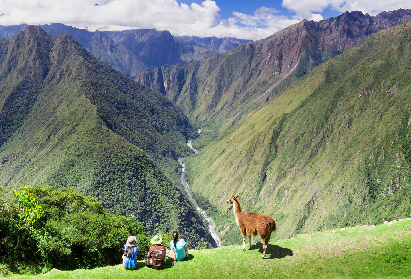 Three student travel youth rest at the top of a hill in Peru after their hike with Sky Bird Travel & Tours with a cute donkey by its side.
