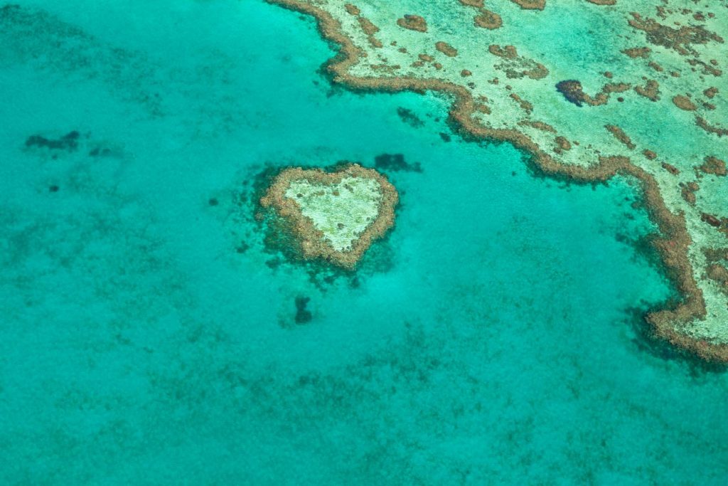 This shot was taken at the Great Barrier Reef National Park in Queensland, Australia with Sky Bird Travel & Tours. The photo is mainly turquoise water, with a small heart-shared coral reef in the center and a huge coral reef at the top.