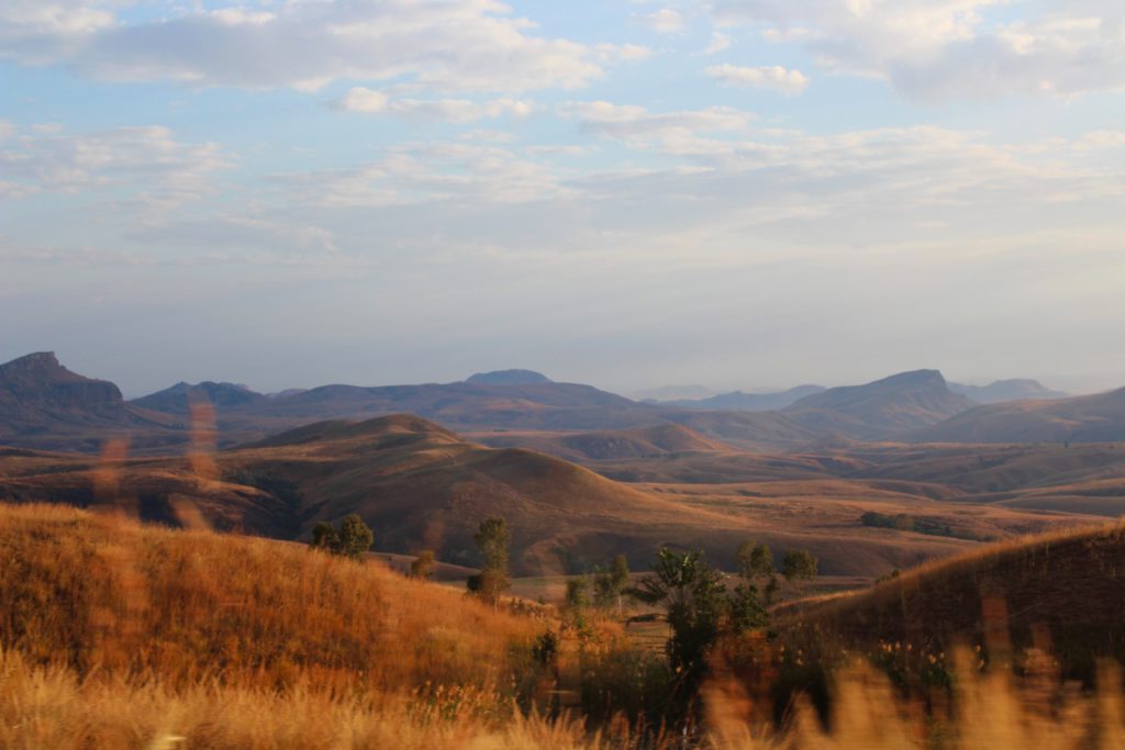 A beautiful shot of Madagascar, with hills and animals throughout the distant landscape in the African safari. This image is featured in the Sky Bird Travel & Tours blog, "5 Spots To Send Clients Before it's Too Late," which describes the top locations that are being permanently destroyed.