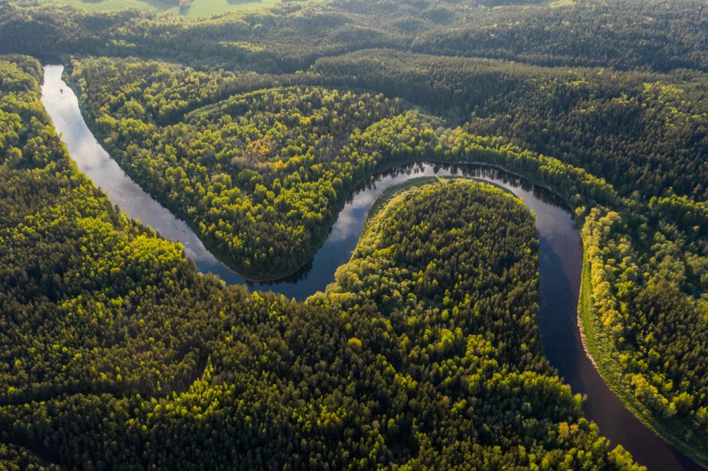 A wide shot of the lush Amazon Rainforest covered in green trees, and a river curves and flows through the middle of the image in a strange pattern. This image is featured in the Sky Bird Travel & Tours blog, "5 Spots To Send Clients Before it's Too Late," which describes the top locations that are being permanently destroyed.
