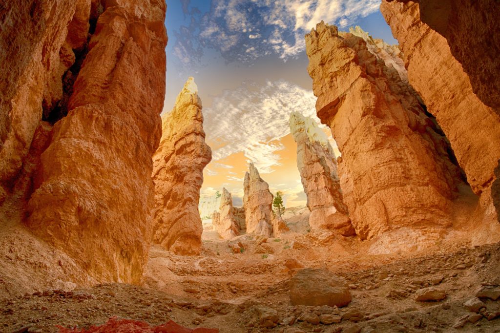 A photograph of the beautiful red rocks desert in Arizona, with a calm sunset in the sky. This is the featured image in the Sky Bird Travel & Tours blog, "5 Spots To Send Clients Before it's Too Late," which describes the top locations that are being permanently destroyed.