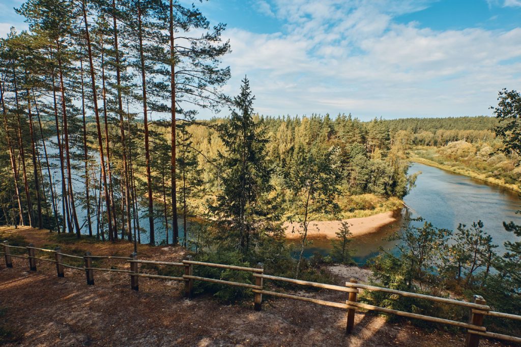 A landscape shot of the forest and river in Guaja National Park, which connects Lithuania, Estonia, and Latvia through a walking trail to the Baltic Forest. This image is featured in the Sky Bird Travel & Tours blog post, "Top 10 Destination: The Baltics," which describes the best things to do while on vacation in the Baltic States.