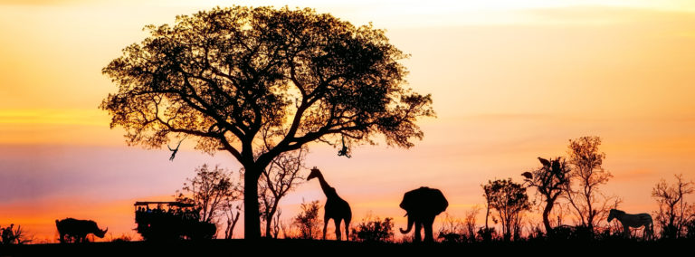 A silhouette of African animals and a safari jeep tour behind an incredible orange and yellow sunset. This image is featured in the Sky Bird Travel & Tours blog, "Africa's Top Landmarks," which describes the best things to do and see on vacation in Africa.