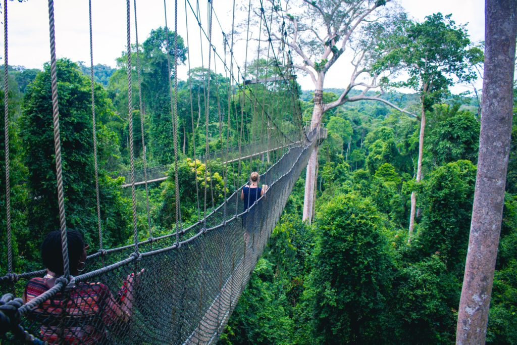 Featured in Top 10 Destination: Ghana by Sky Bird Travel & Tours, this image shows the kakum national park in Ghana.