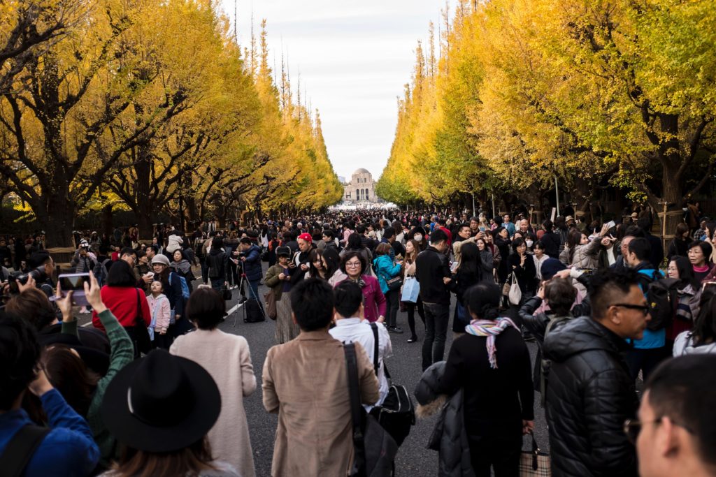 This image of a large crowd gathered at the maiji jingu gaien ginkg festival admiring the bright yellow trees, which is featured in the Sky Bird travel & Tours blog post "autumn vacation destinations"
