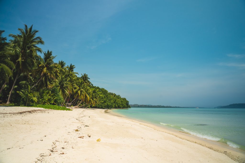 Featured in Top 10 Indian Cities by Sky Bird Travel & Tours, this image shows the Andaman Islands in india.