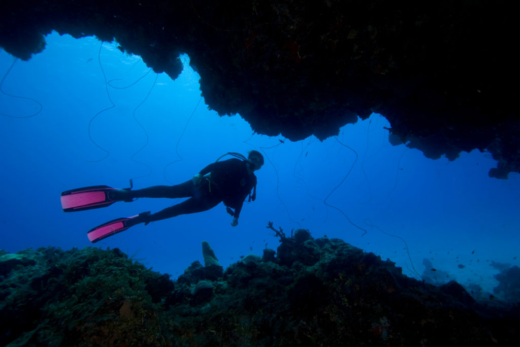 Featured in the blog "Top 10 Destination: The Bahamas" by Sky Bird Travel & Tours, this image shows a scuba diver underwater at Lucyan National Park.