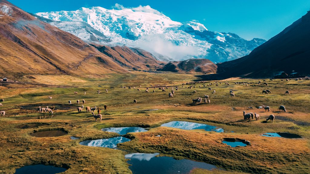 Sky Bird Blog Top 10 Destinations of 2025 Ausangate Mountain with alpacas and lakes, in the city of Cusco Peru.