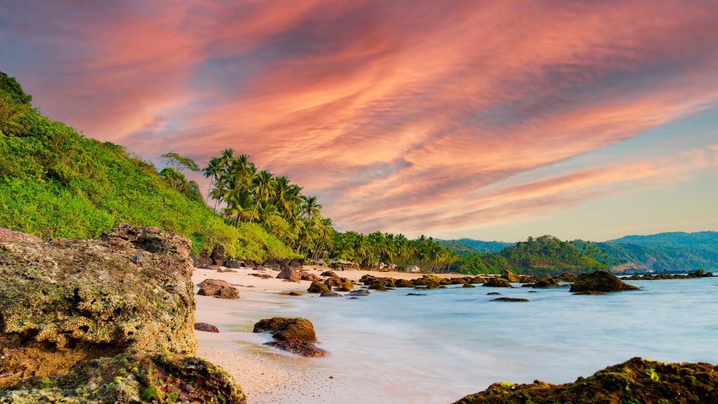 Sky Bird Blog Top 10 Destinations of 2025 Beautiful and relaxing beach flanked by green palm trees at sunset. Varkala, Kerala, India.